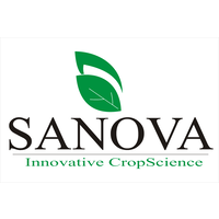 Lowongan Kerja PT. Sanova Innovative Cropscience